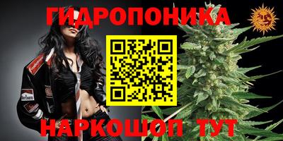 МДПВ Краснознаменск